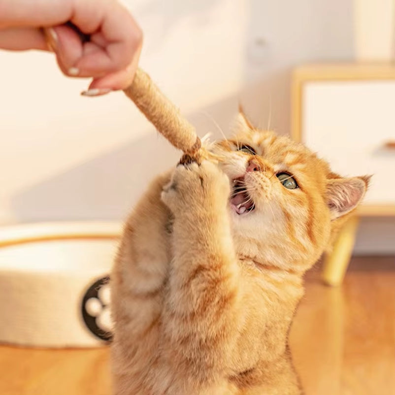 Popular Wood Polygonum Teasing Cat Toy Snacks Self-Hi Gnawing Teeth Cleaning Natural Molar Stick