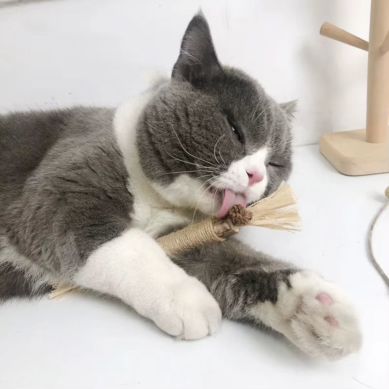 Popular Wood Polygonum Teasing Cat Toy Snacks Self-Hi Gnawing Teeth Cleaning Natural Molar Stick