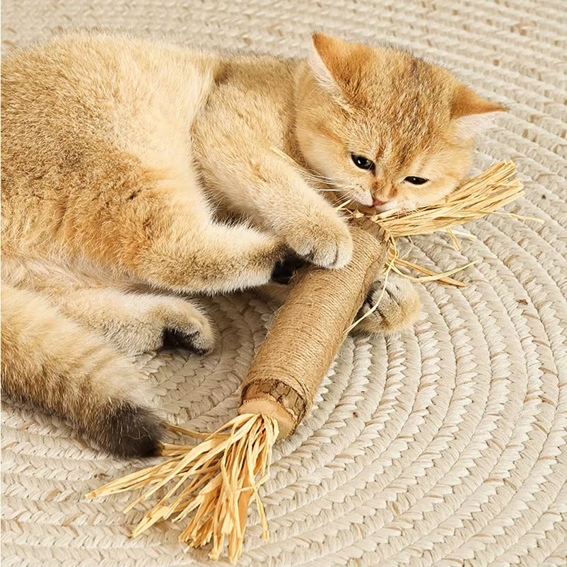 Popular Wood Polygonum Teasing Cat Toy Snacks Self-Hi Gnawing Teeth Cleaning Natural Molar Stick